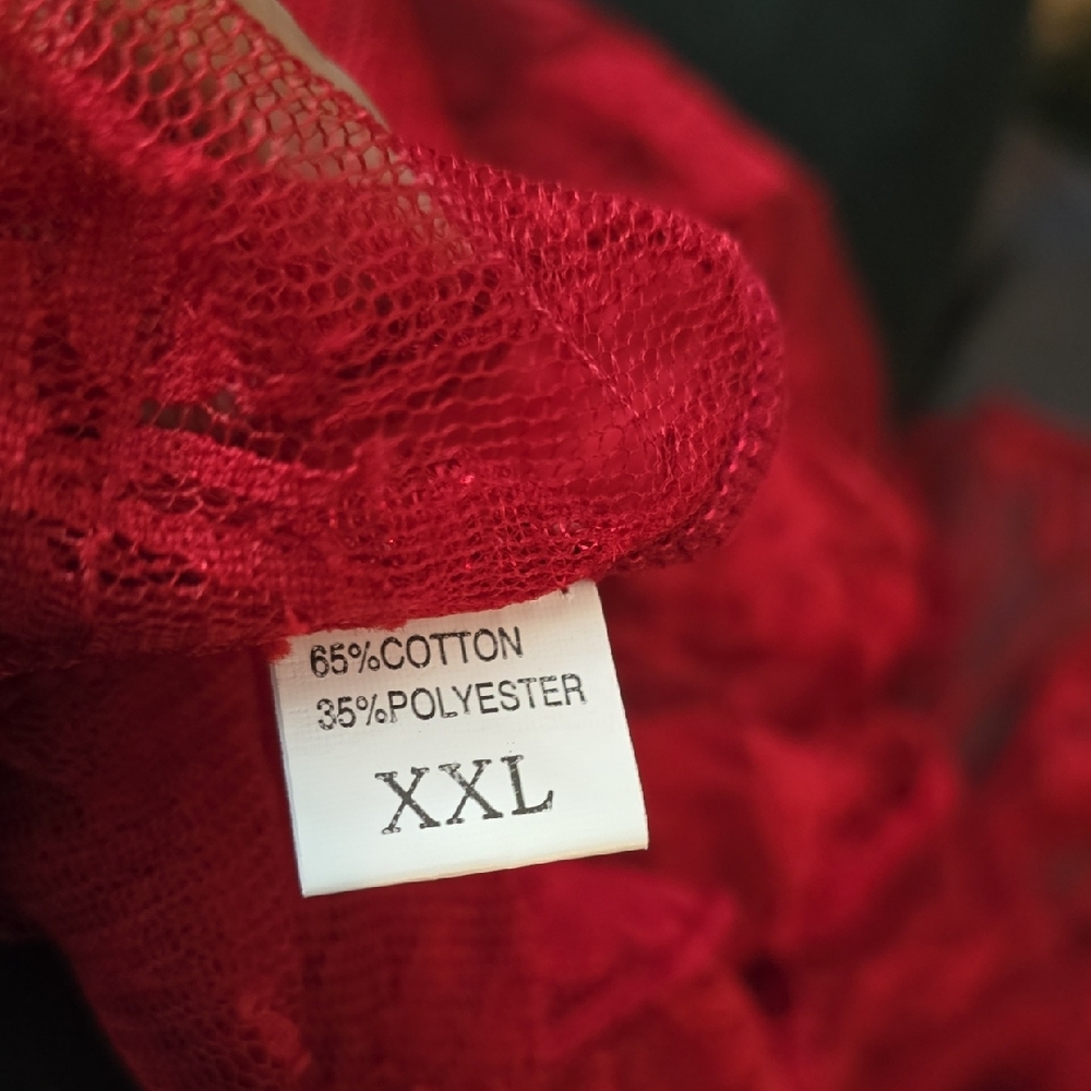 Luxurious Scarlet Lace Robe - Picture 9 of 9
